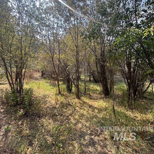 1737 Pine Lakes Ranch Dr / And Tbd Property Photo 24