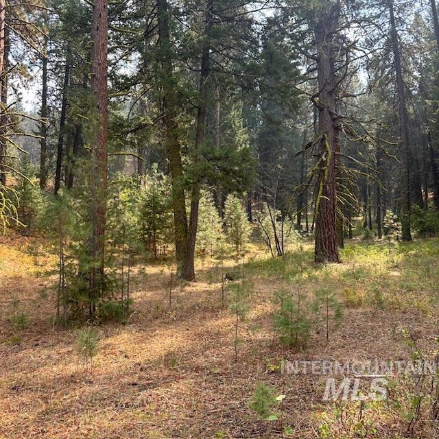 1737 Pine Lakes Ranch Dr / And Tbd Property Photo 27