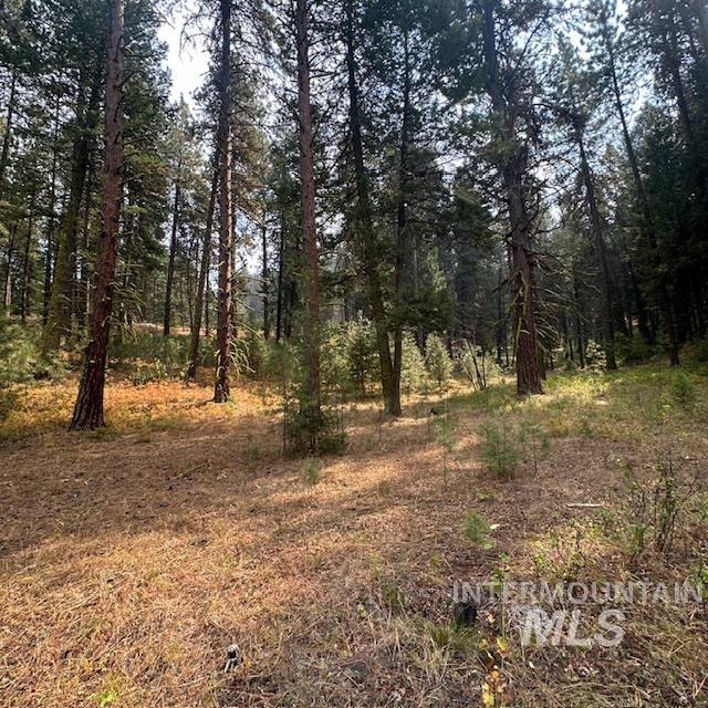 1737 Pine Lakes Ranch Dr / And Tbd Property Photo 28