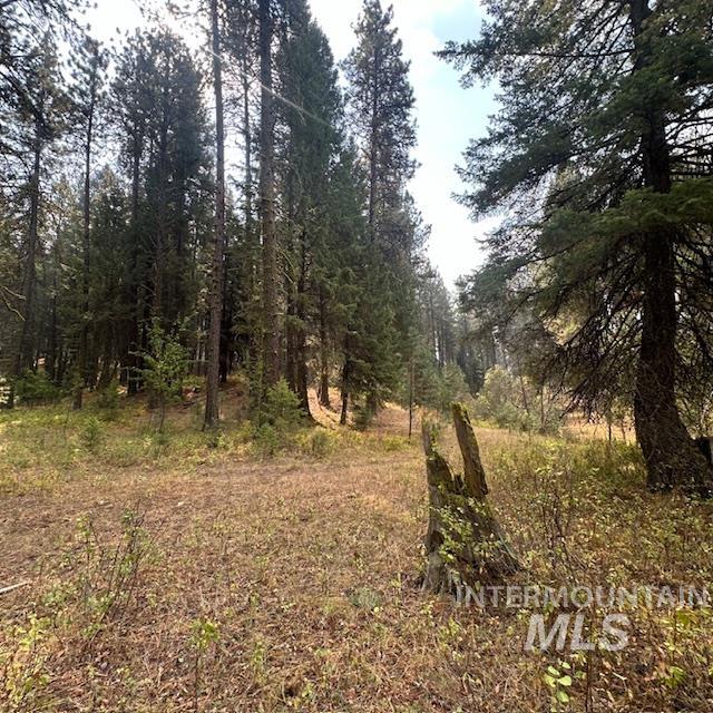 1737 Pine Lakes Ranch Dr / And Tbd Property Photo 29