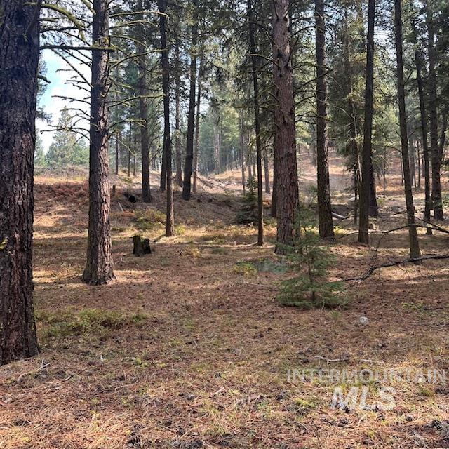 1737 Pine Lakes Ranch Dr / And Tbd Property Photo 32