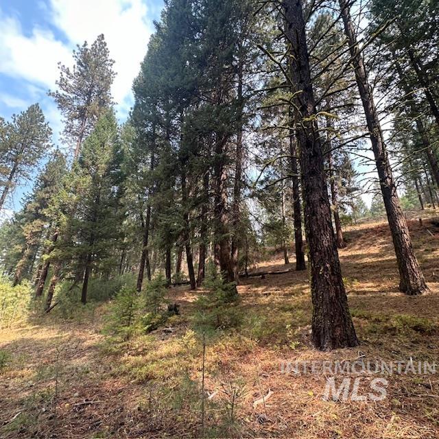 1737 Pine Lakes Ranch Dr / And Tbd Property Photo 33