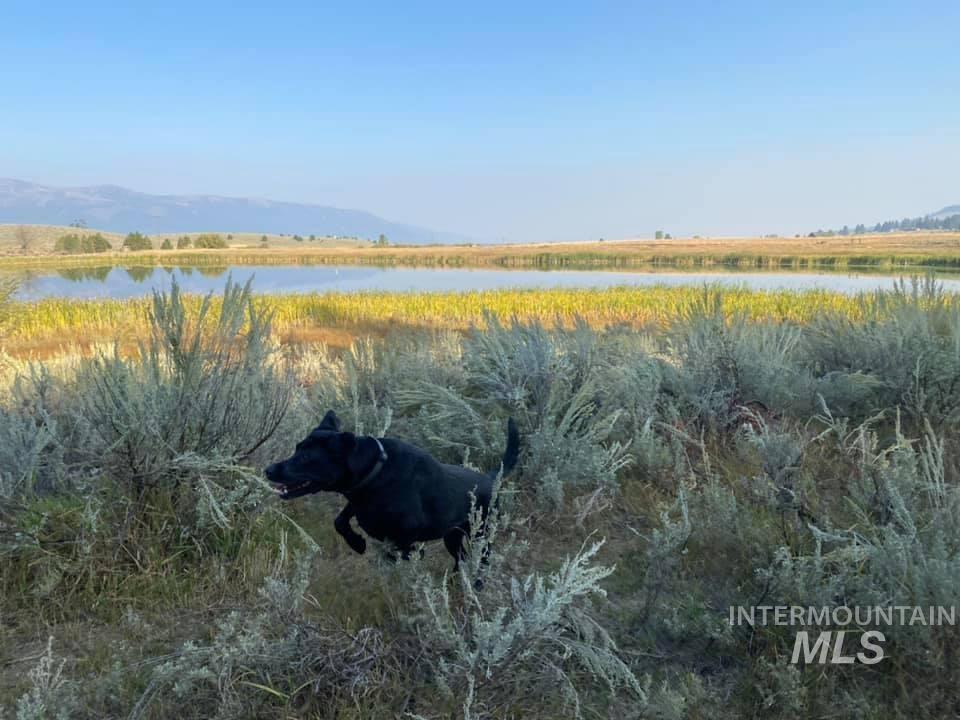 1737 Pine Lakes Ranch Dr / And Tbd Property Photo 41