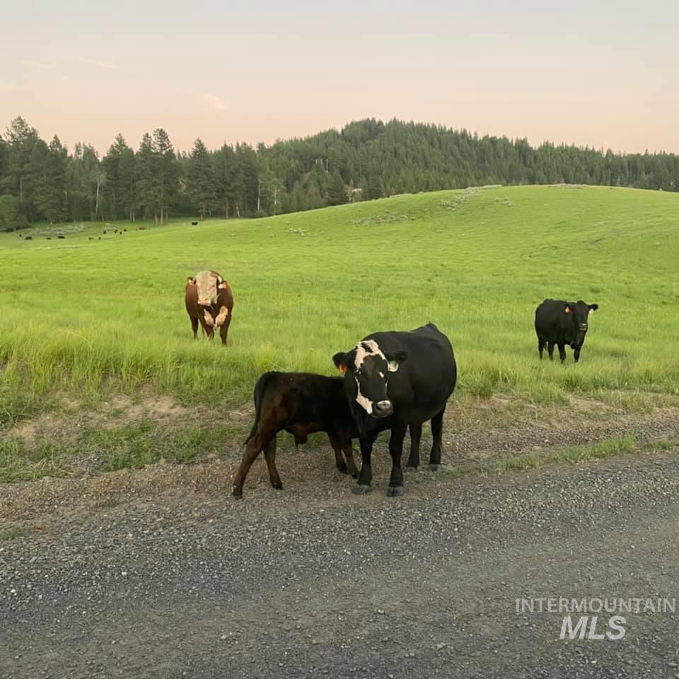 1737 Pine Lakes Ranch Dr / And Tbd Property Photo 49