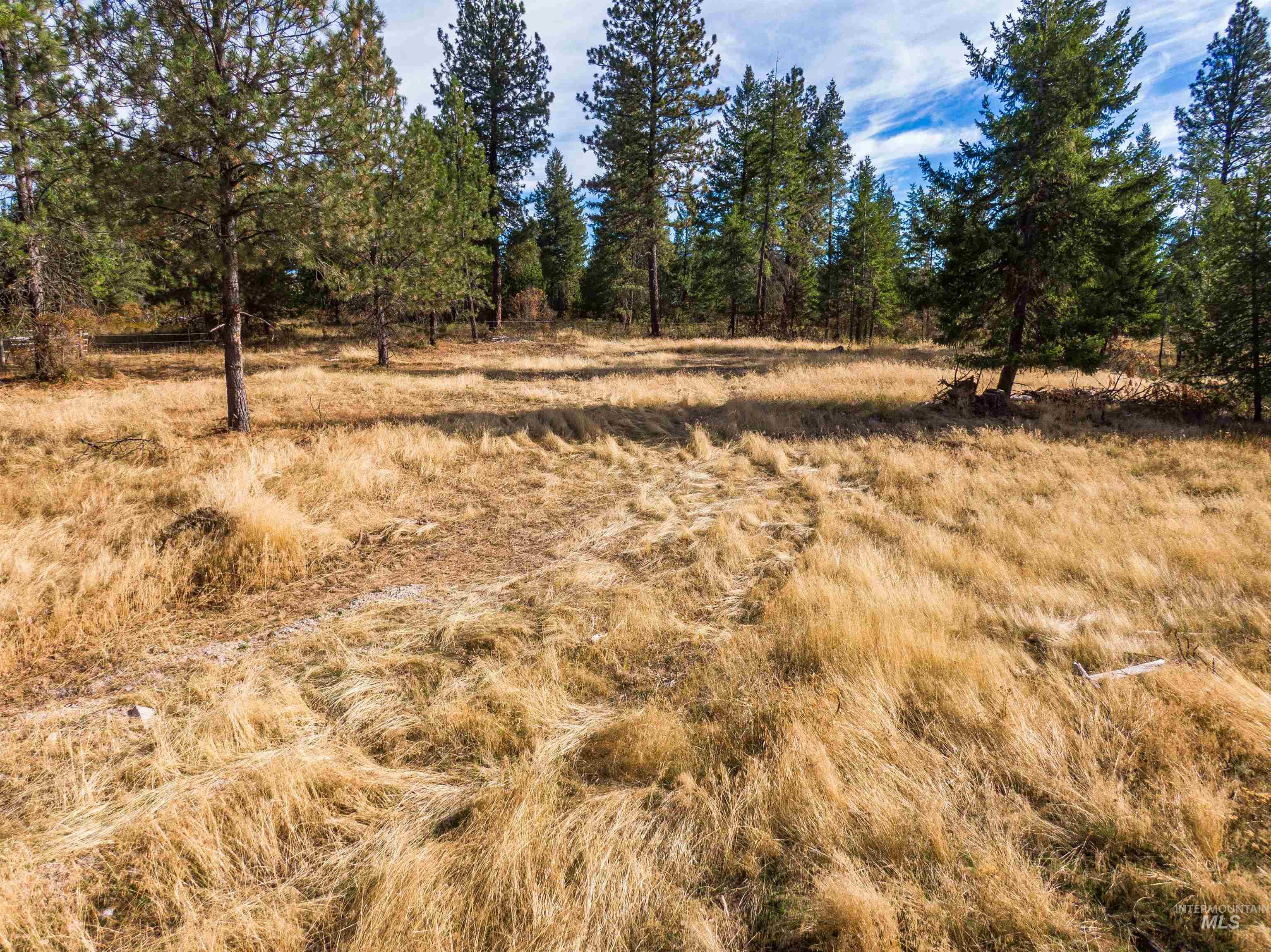 Tbd Hatter Creek Property Photo 1