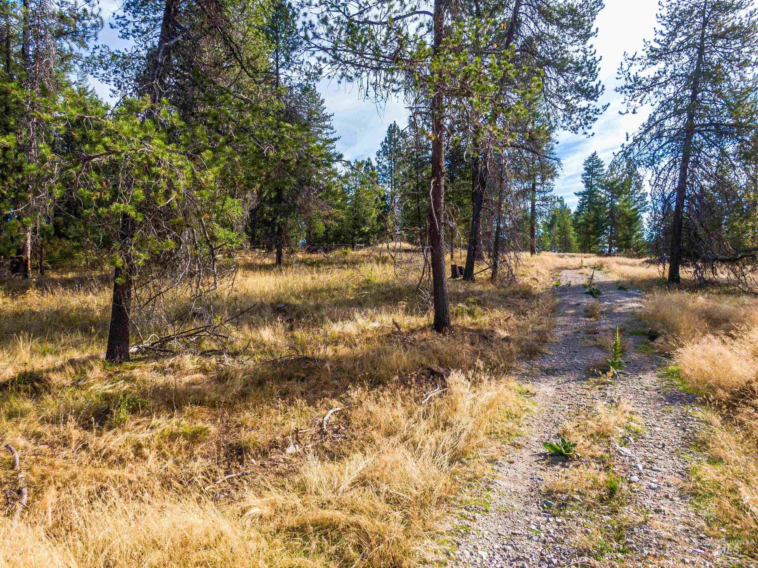 Tbd Hatter Creek Property Photo 2