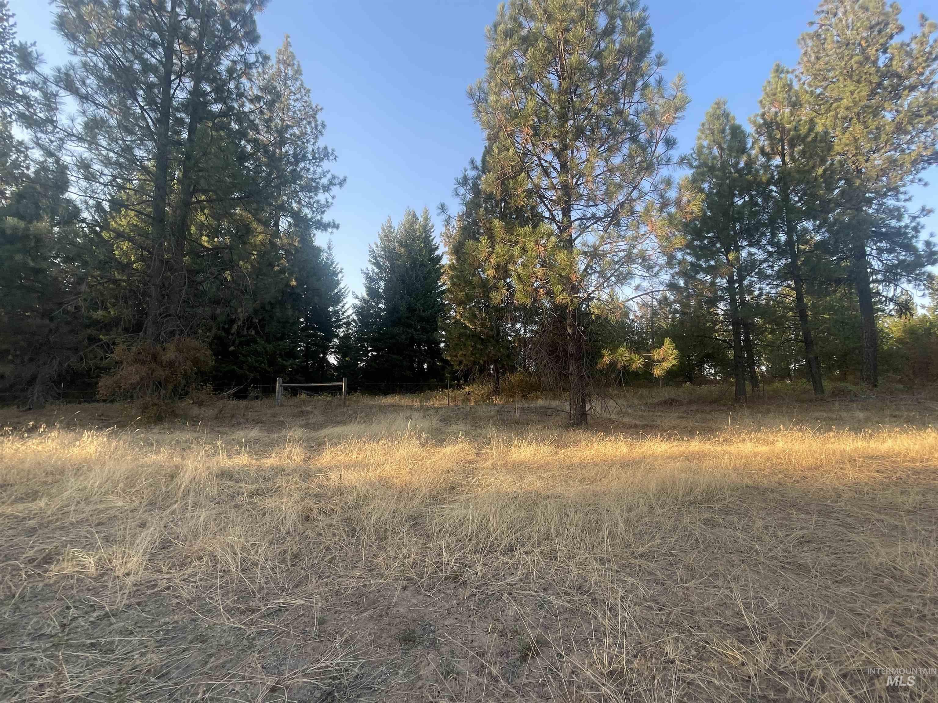 Tbd Hatter Creek Property Photo 3