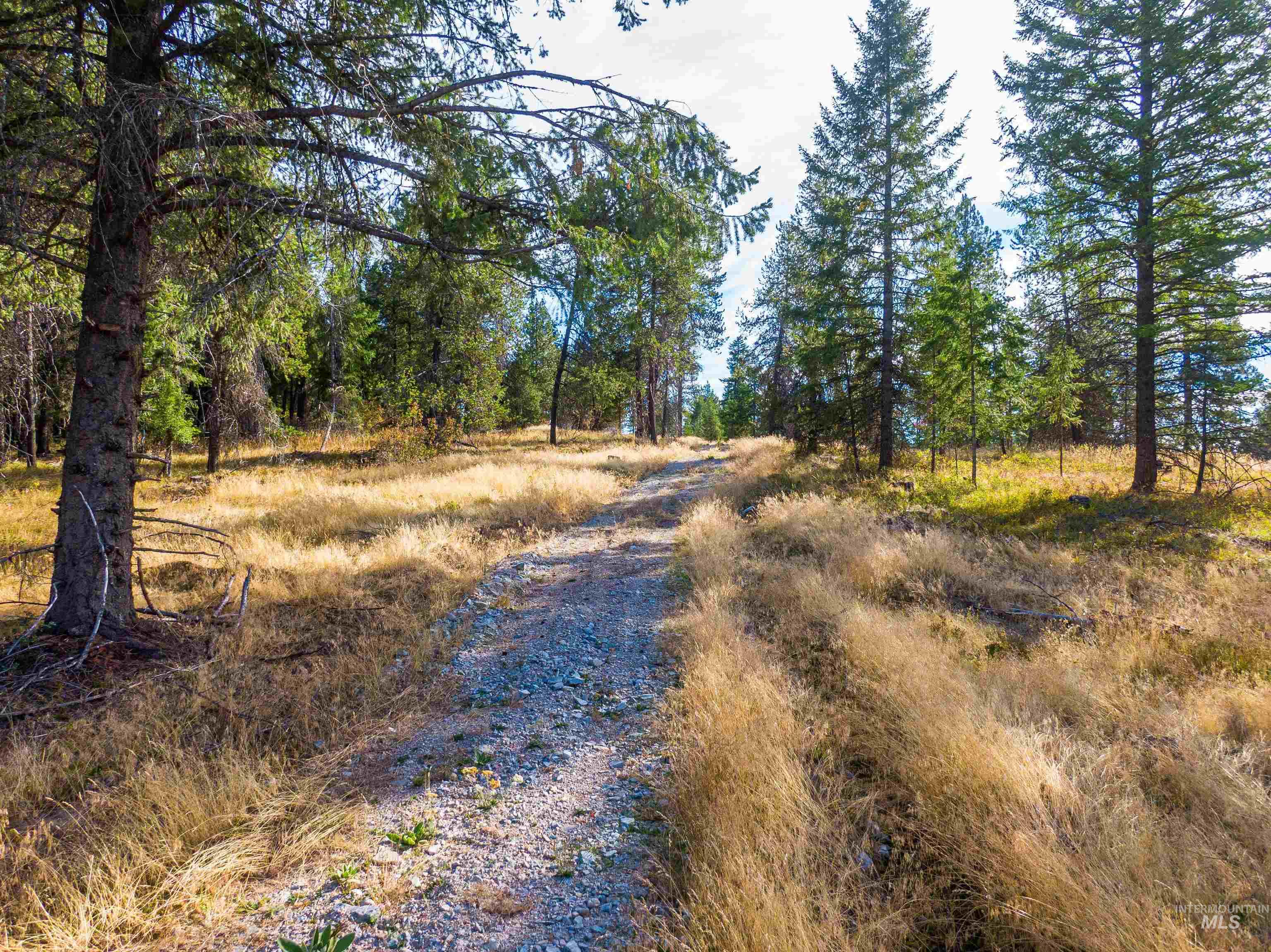 Tbd Hatter Creek Property Photo 4
