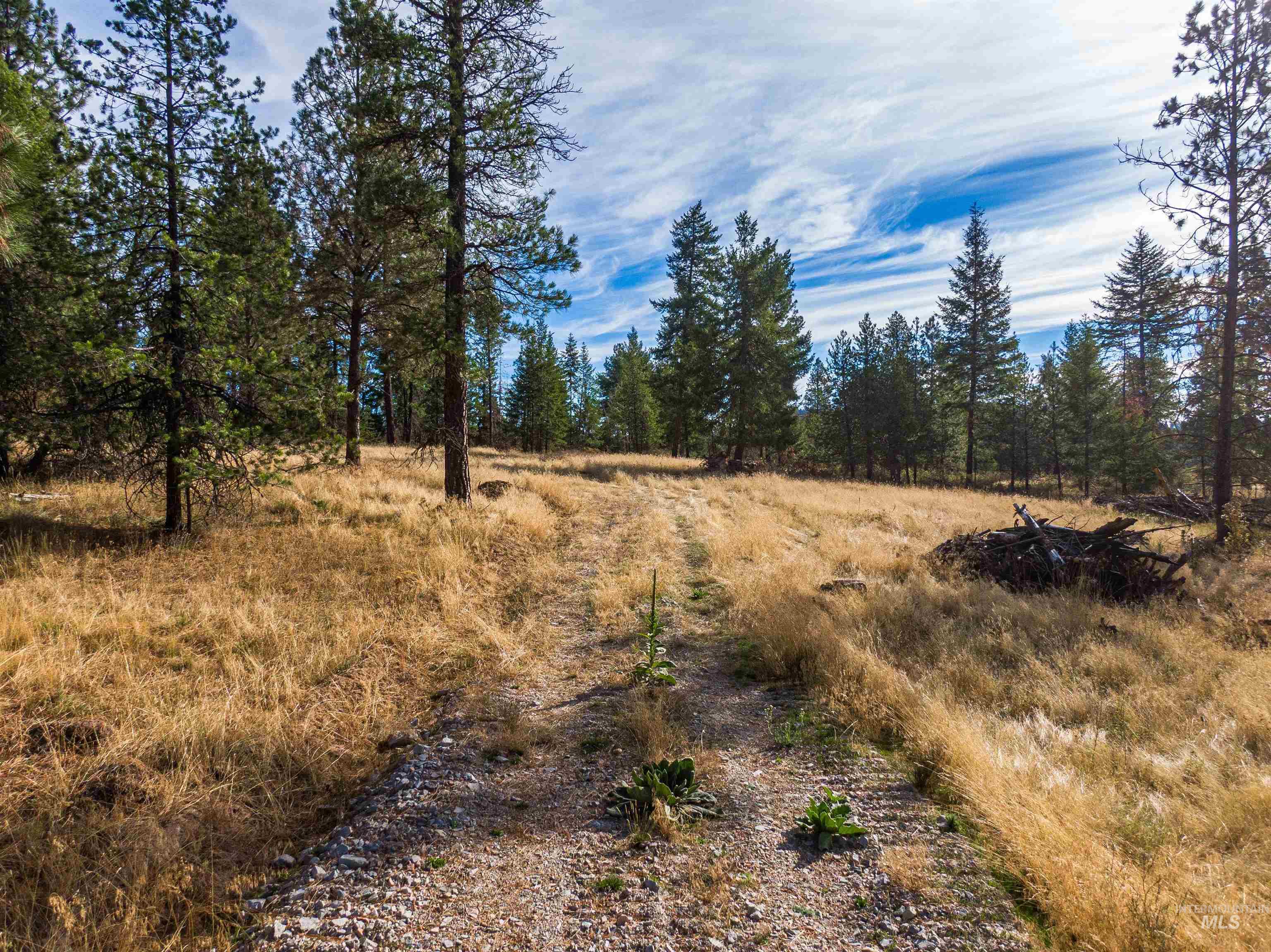 Tbd Hatter Creek Property Photo 5