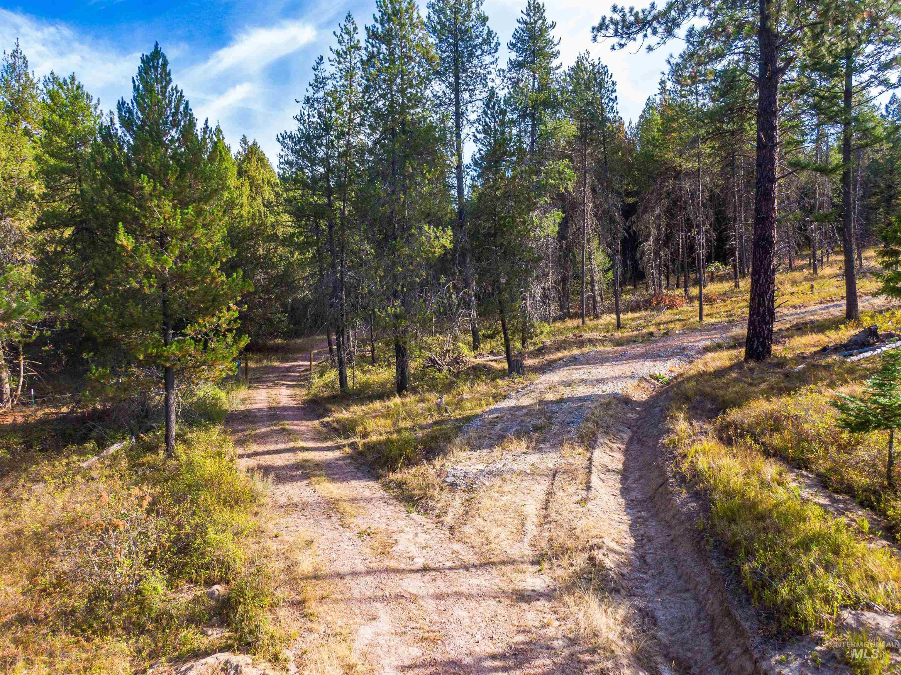 Tbd Hatter Creek Property Photo 6