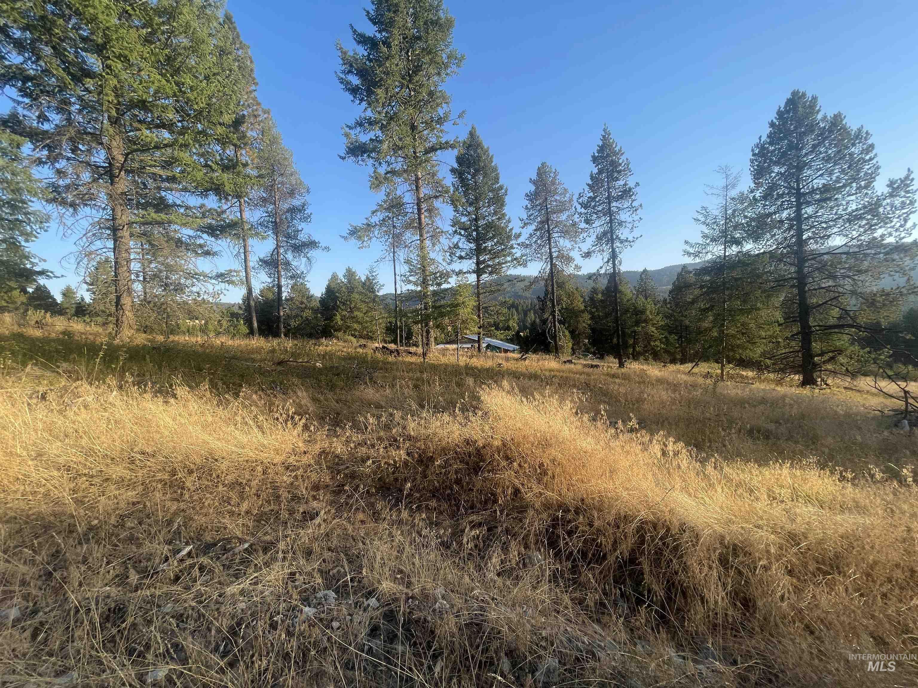 Tbd Hatter Creek Property Photo 11