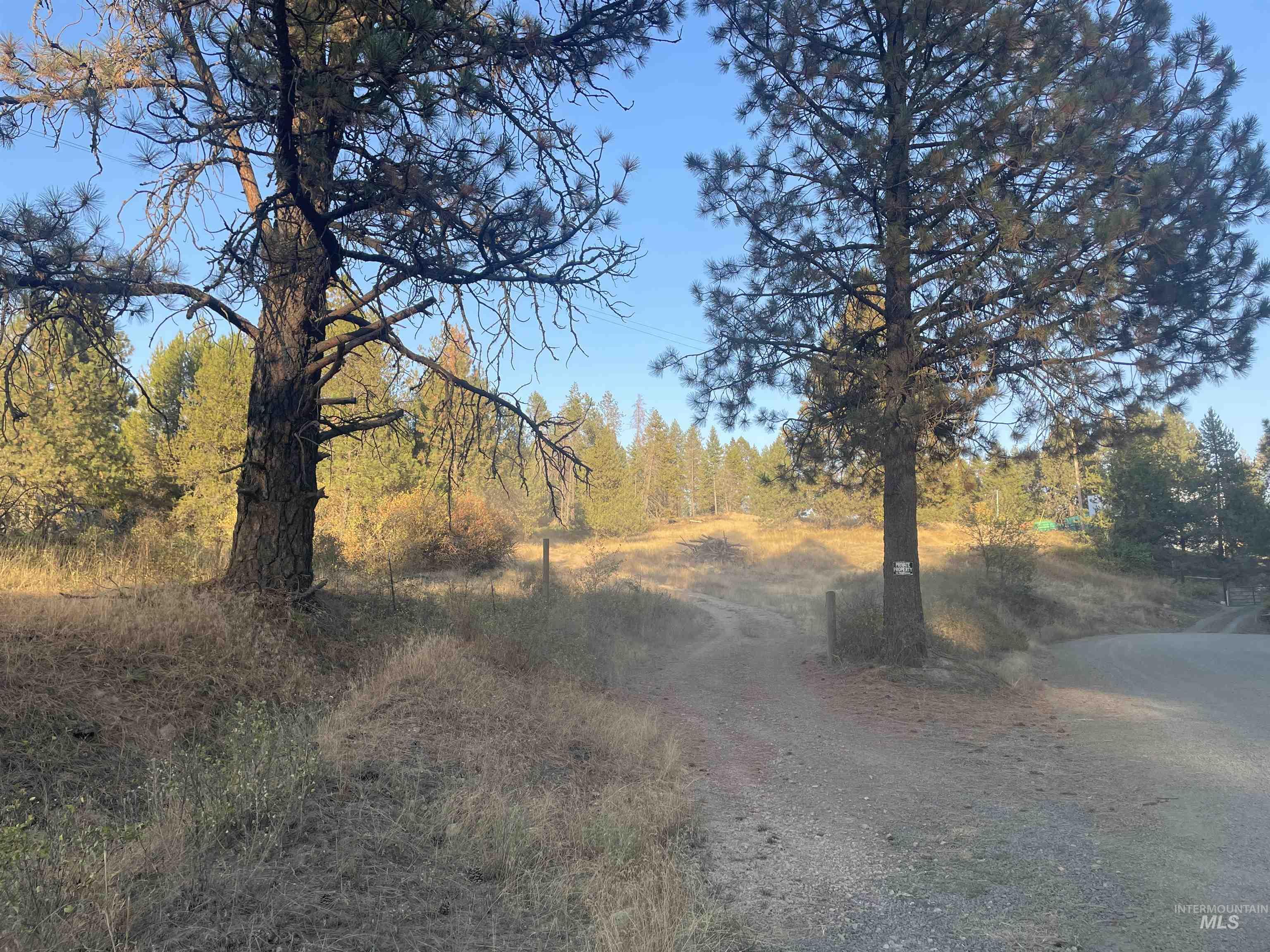 Tbd Hatter Creek Property Photo 12