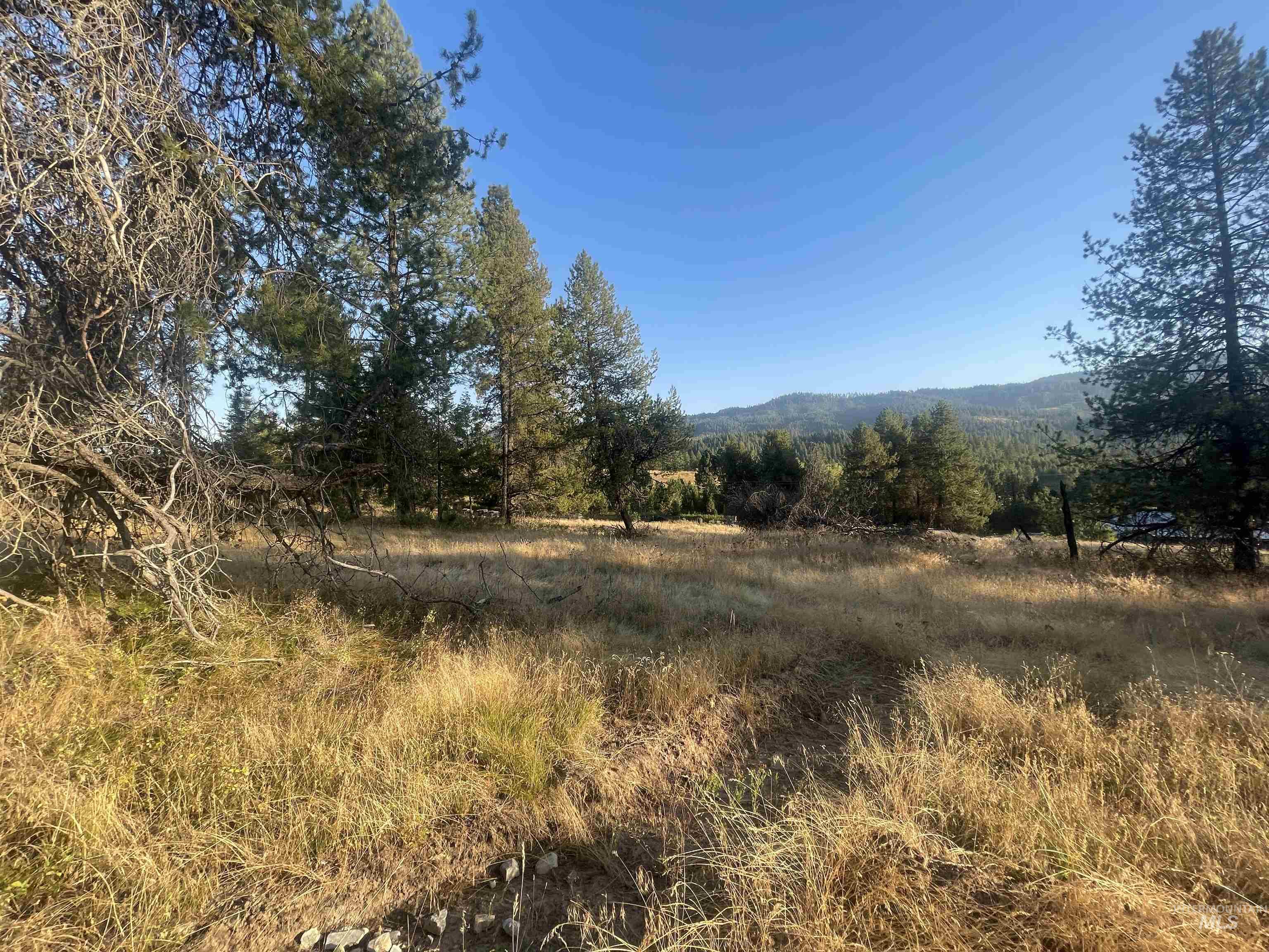 Tbd Hatter Creek Property Photo 13