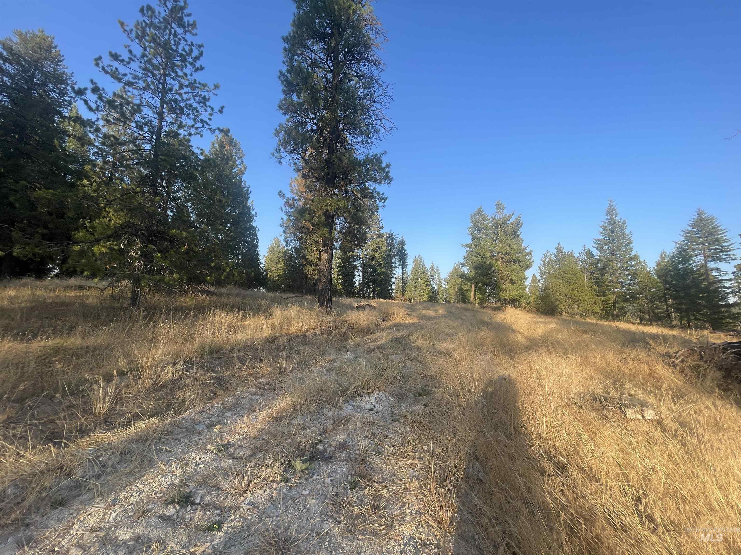 Tbd Hatter Creek Property Photo 14