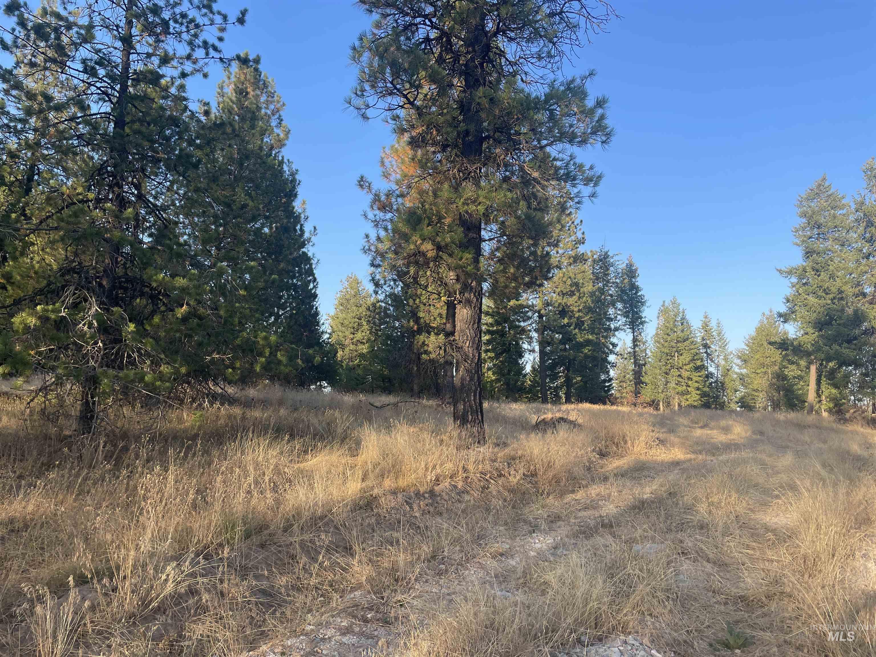 Tbd Hatter Creek Property Photo 15