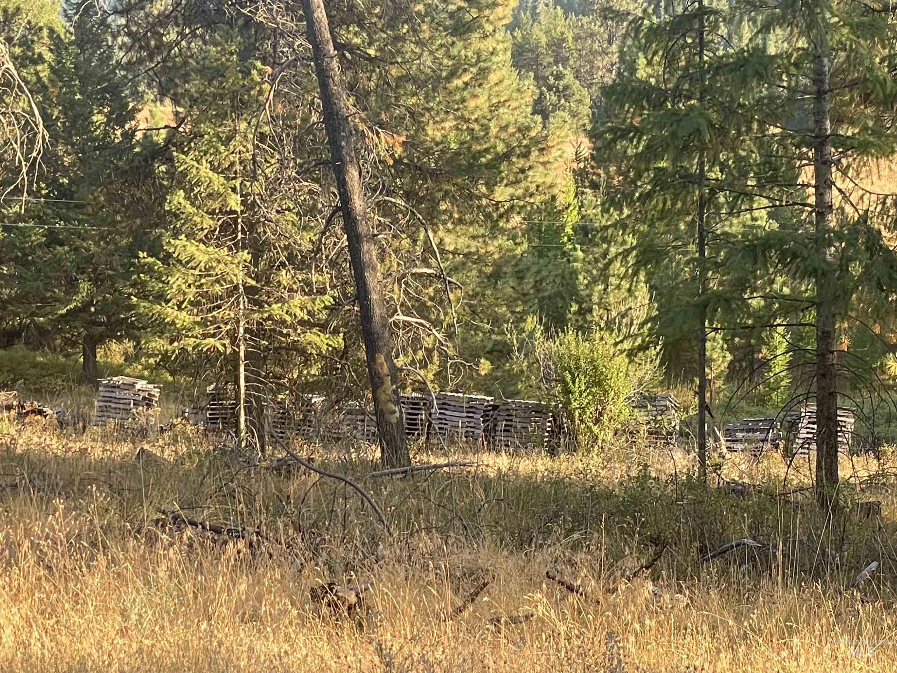 Tbd Hatter Creek Property Photo 16