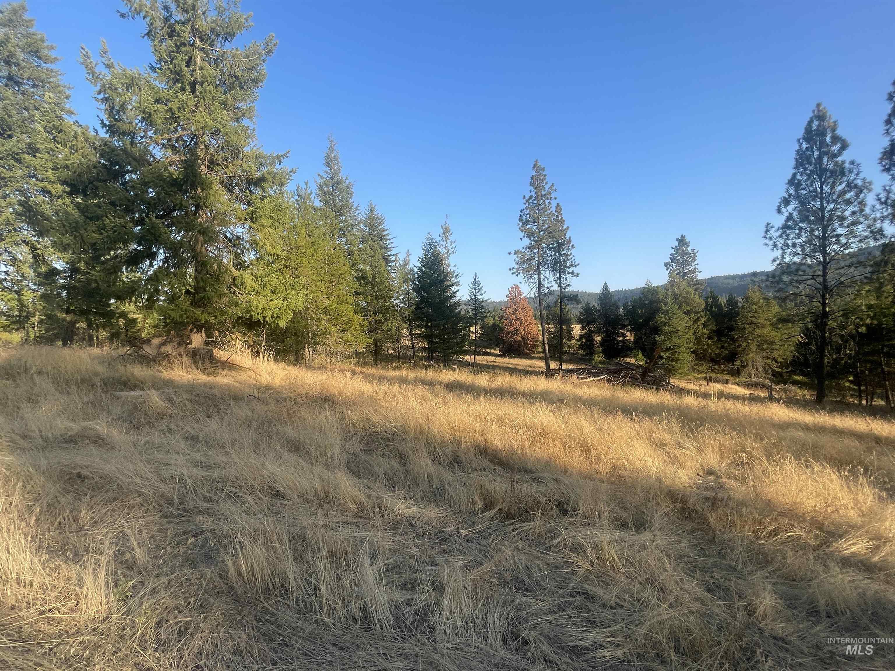Tbd Hatter Creek Property Photo 17