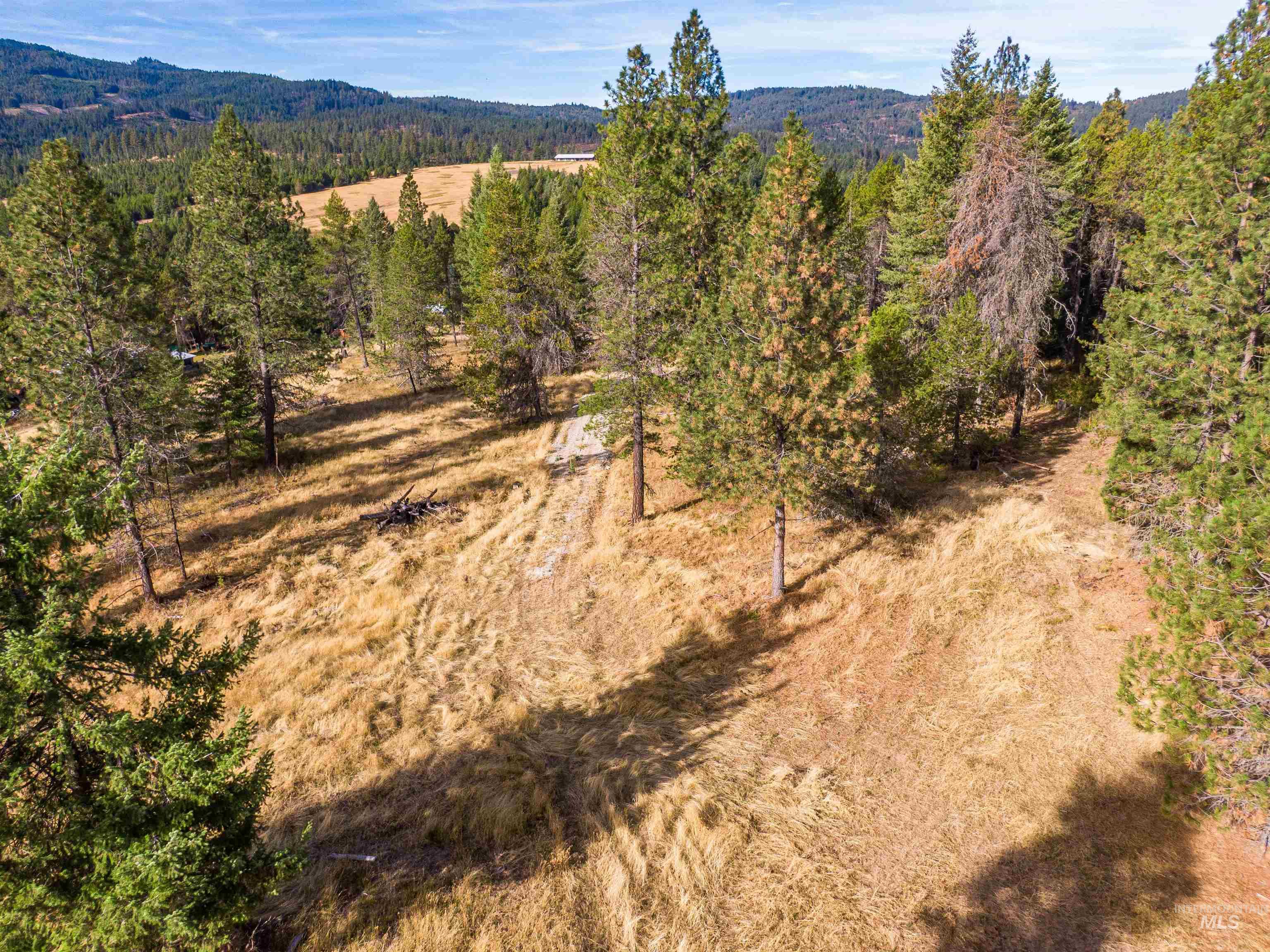 Tbd Hatter Creek Property Photo 18