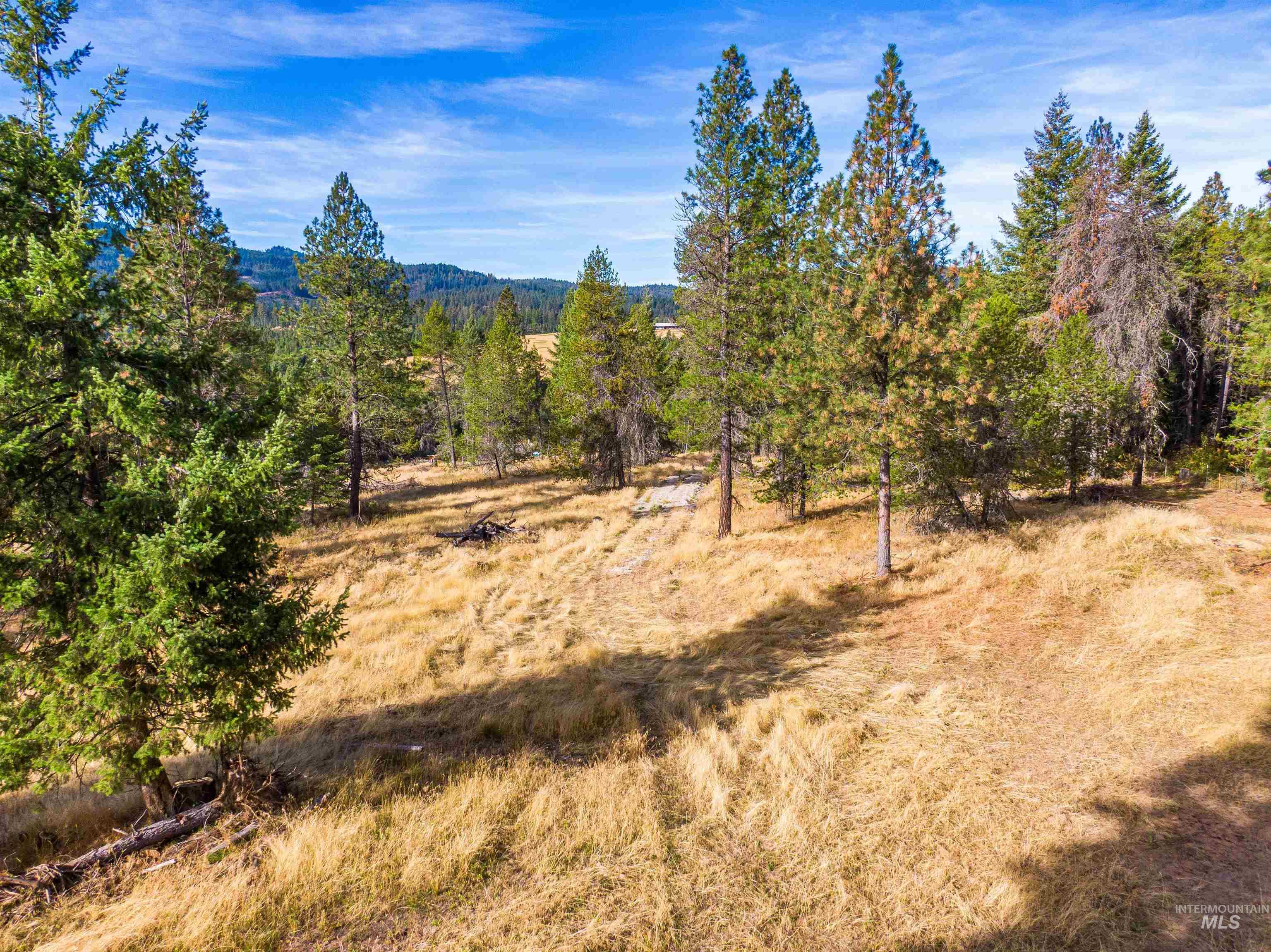 Tbd Hatter Creek Property Photo 20