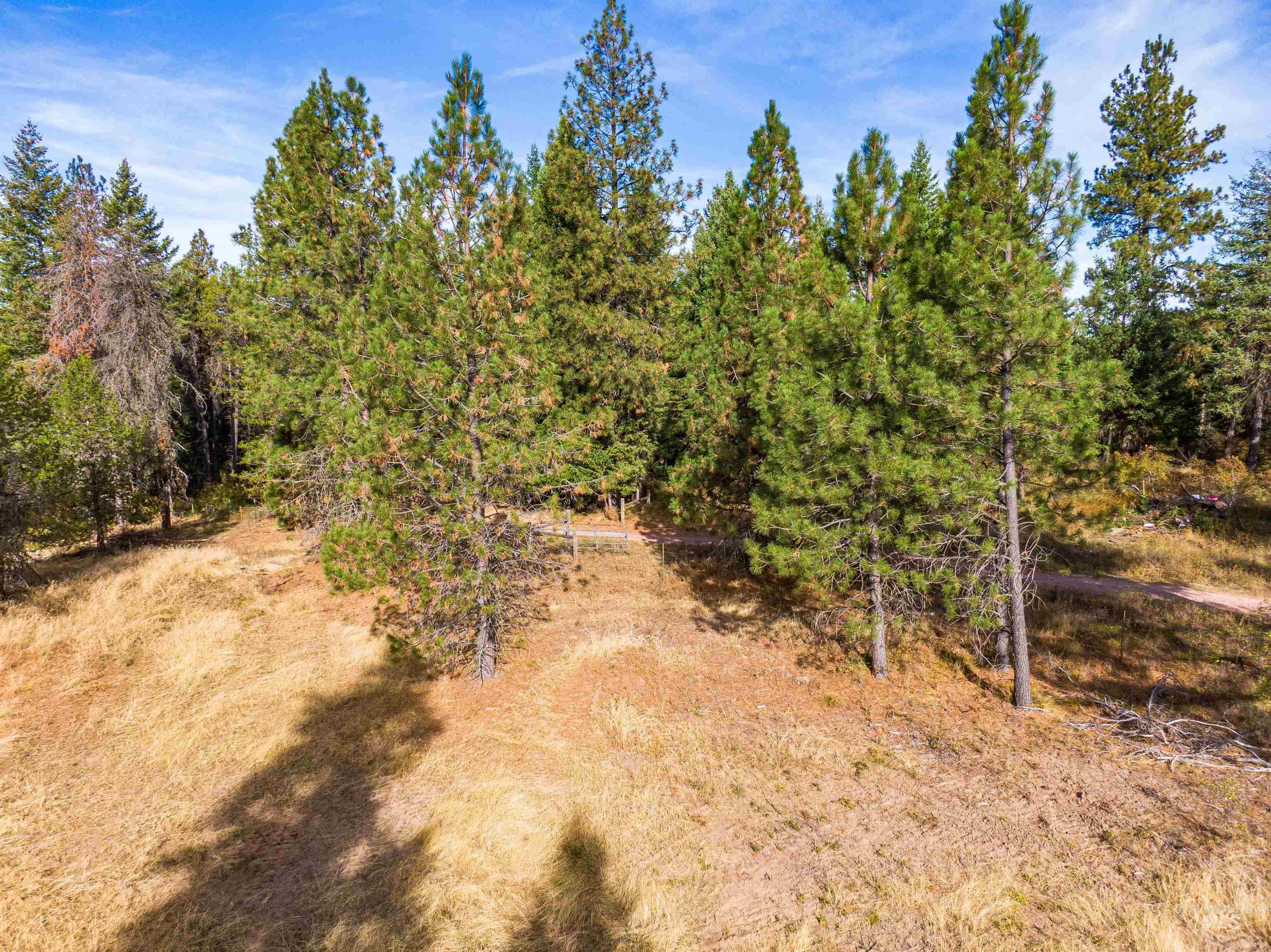 Tbd Hatter Creek Property Photo 21