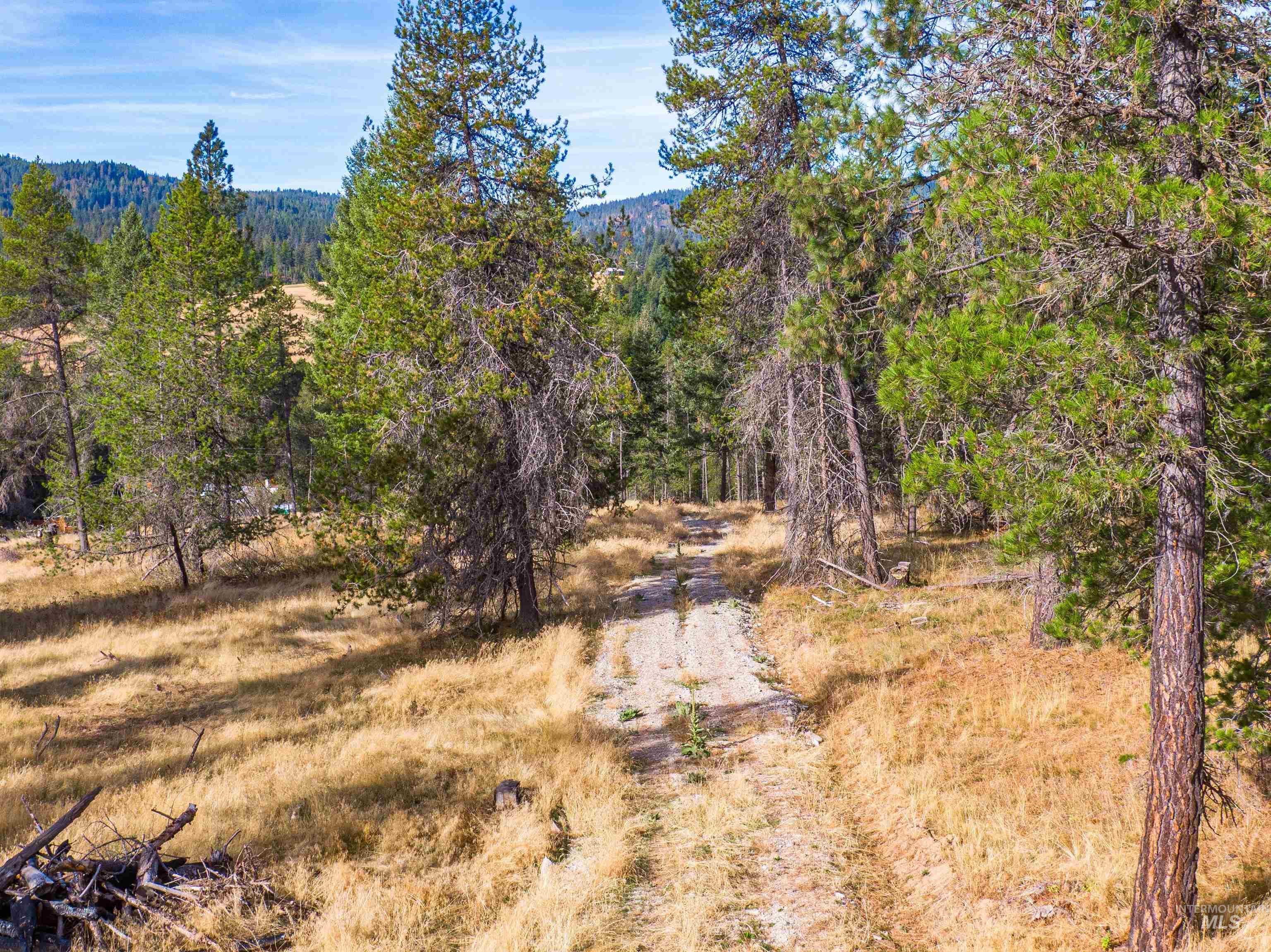 Tbd Hatter Creek Property Photo 28