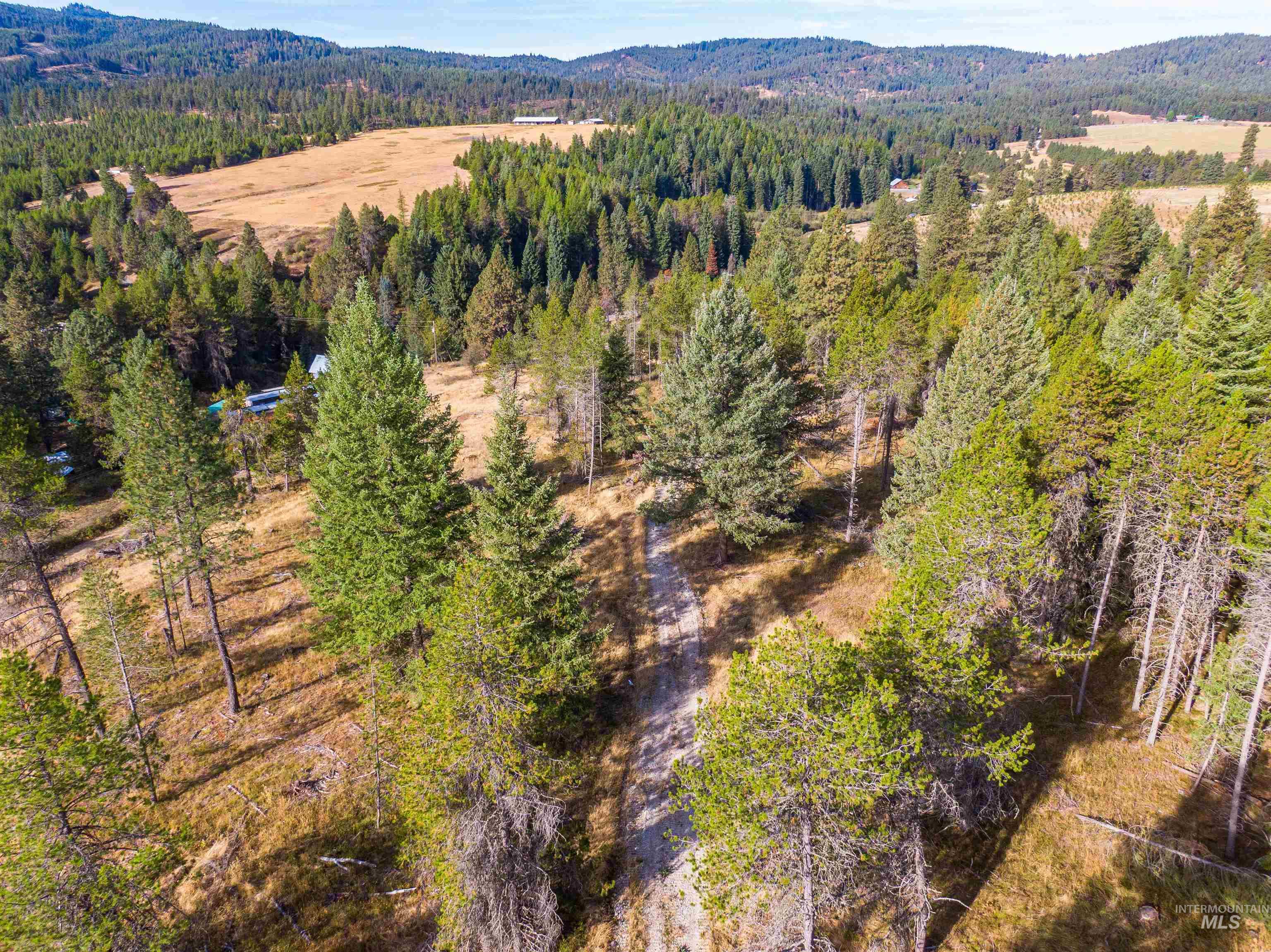 Tbd Hatter Creek Property Photo 29