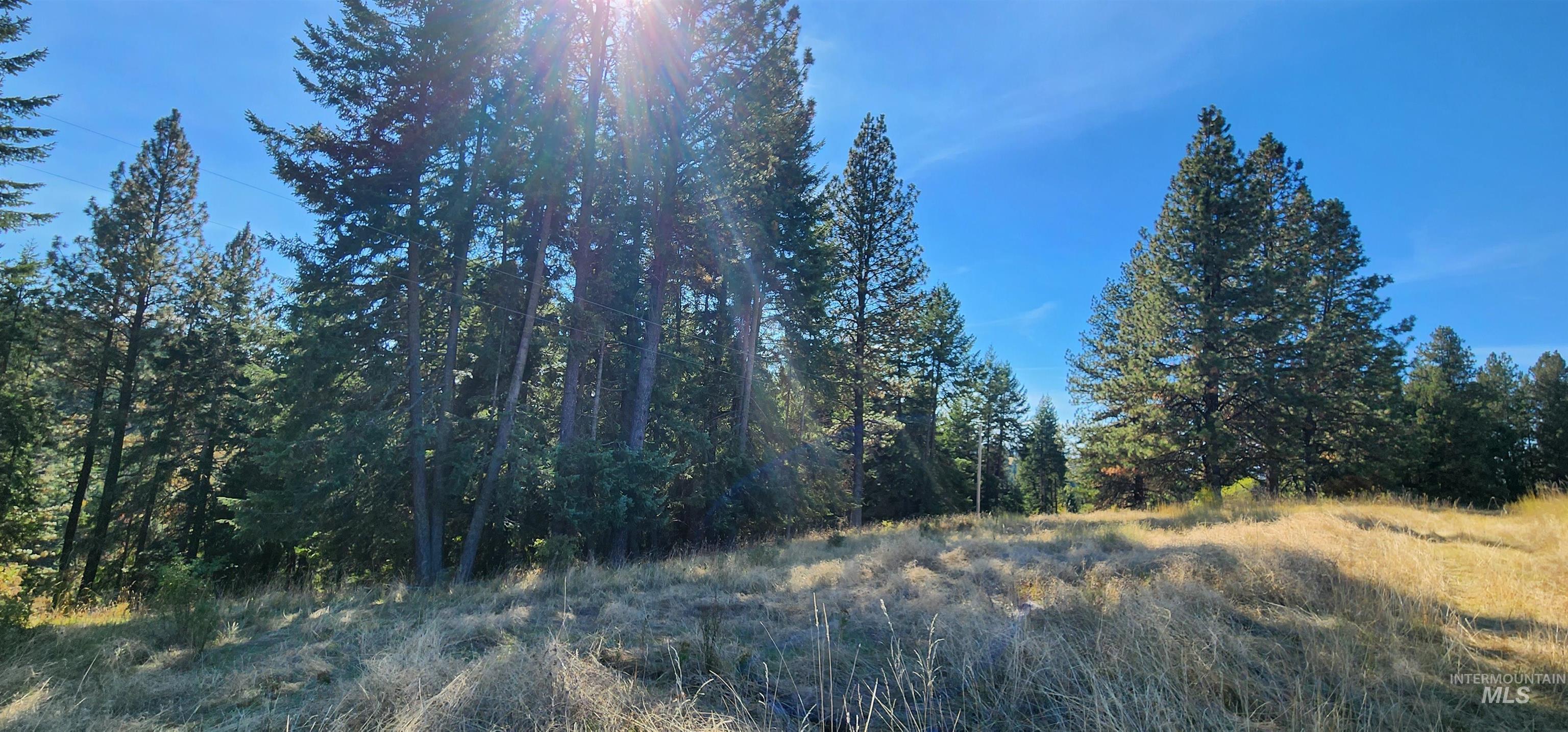Tbd Red Fir Rd Property Photo 3