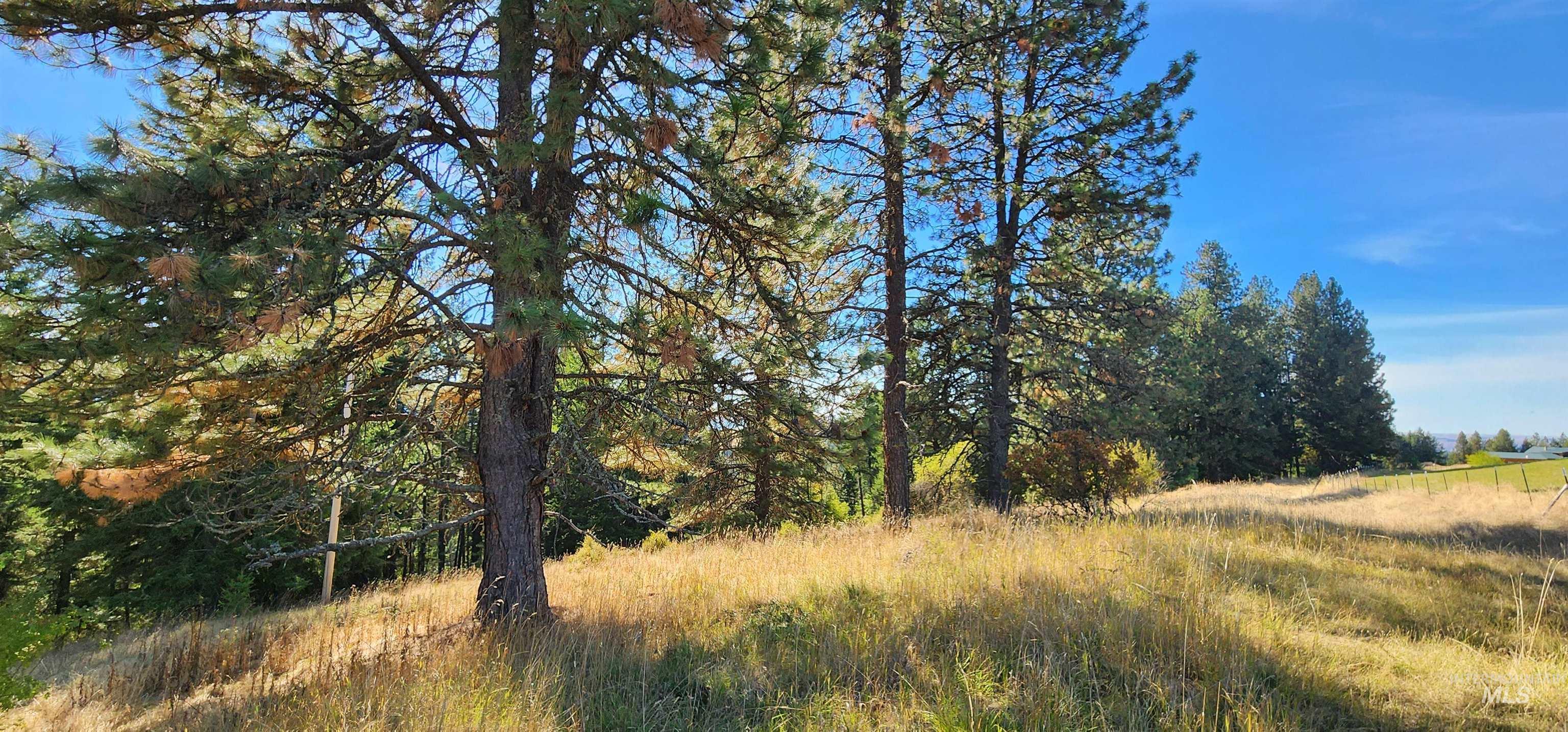 Tbd Red Fir Rd Property Photo 4