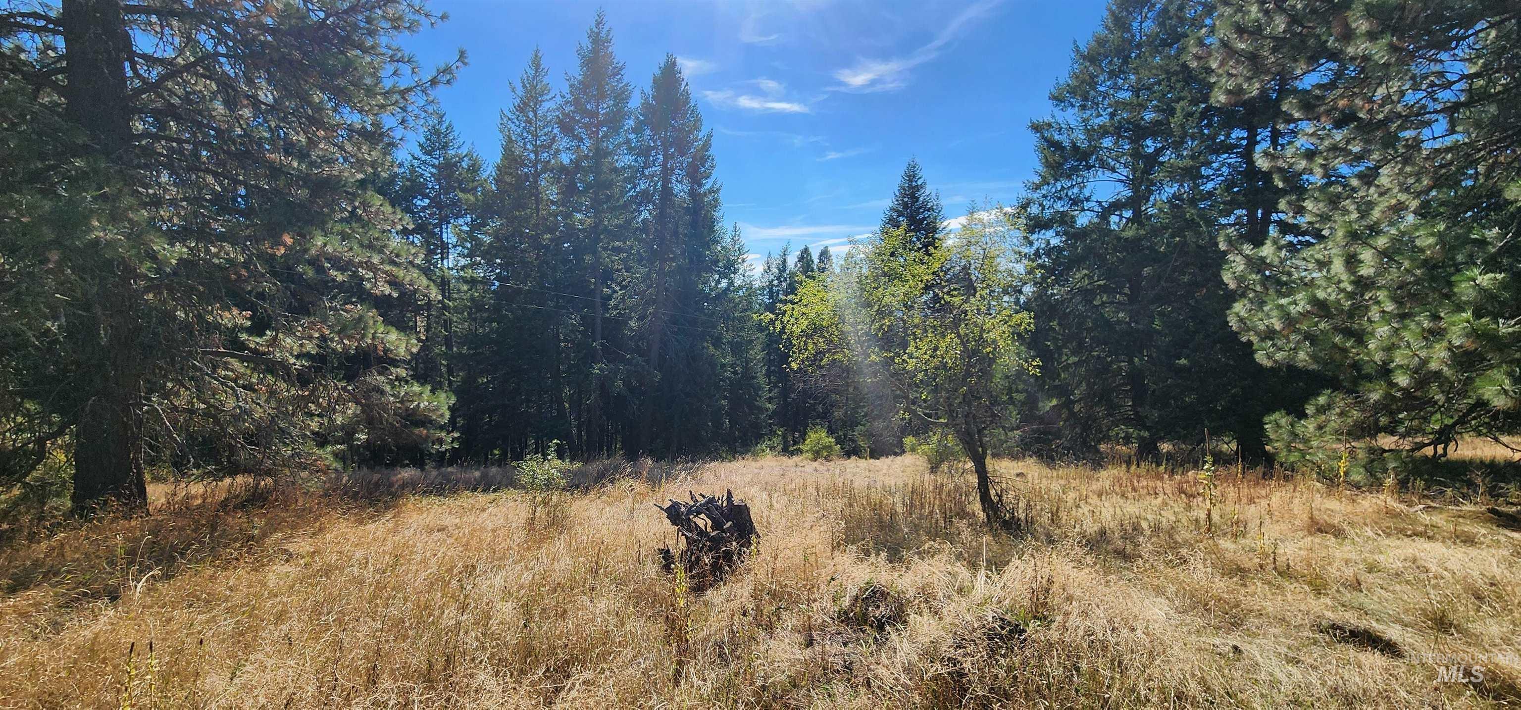 Tbd Red Fir Rd Property Photo 6