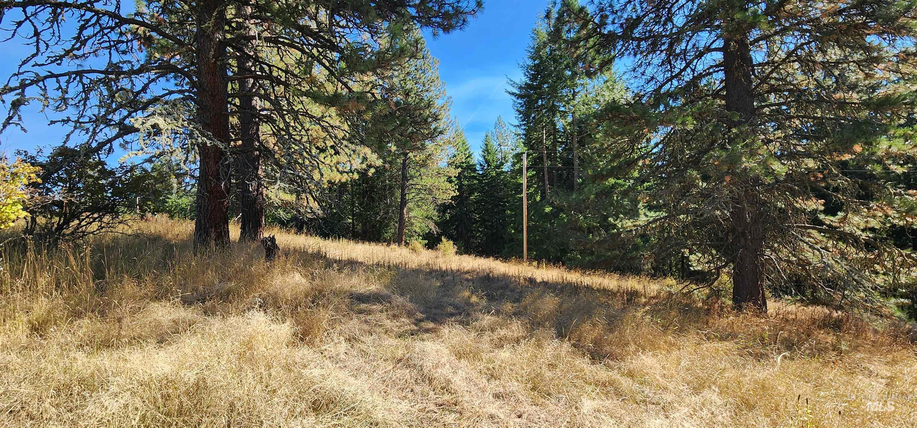 Tbd Red Fir Rd Property Photo 7