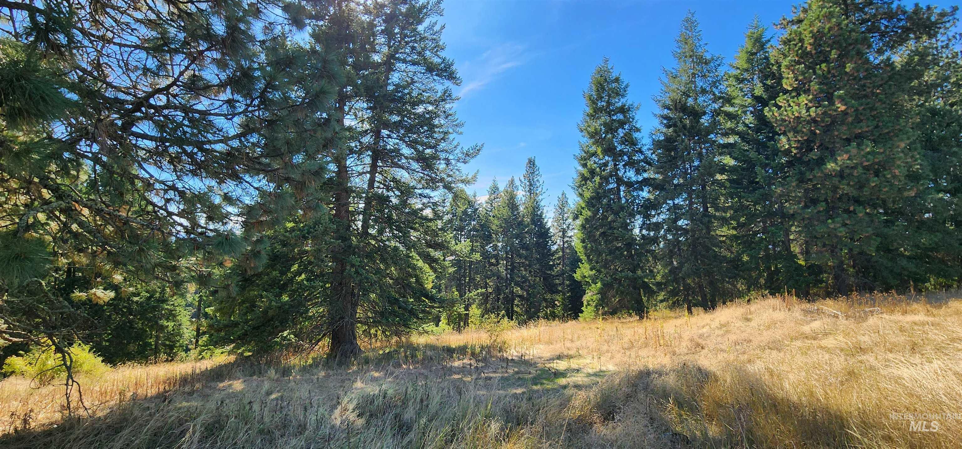 Tbd Red Fir Rd Property Photo 8