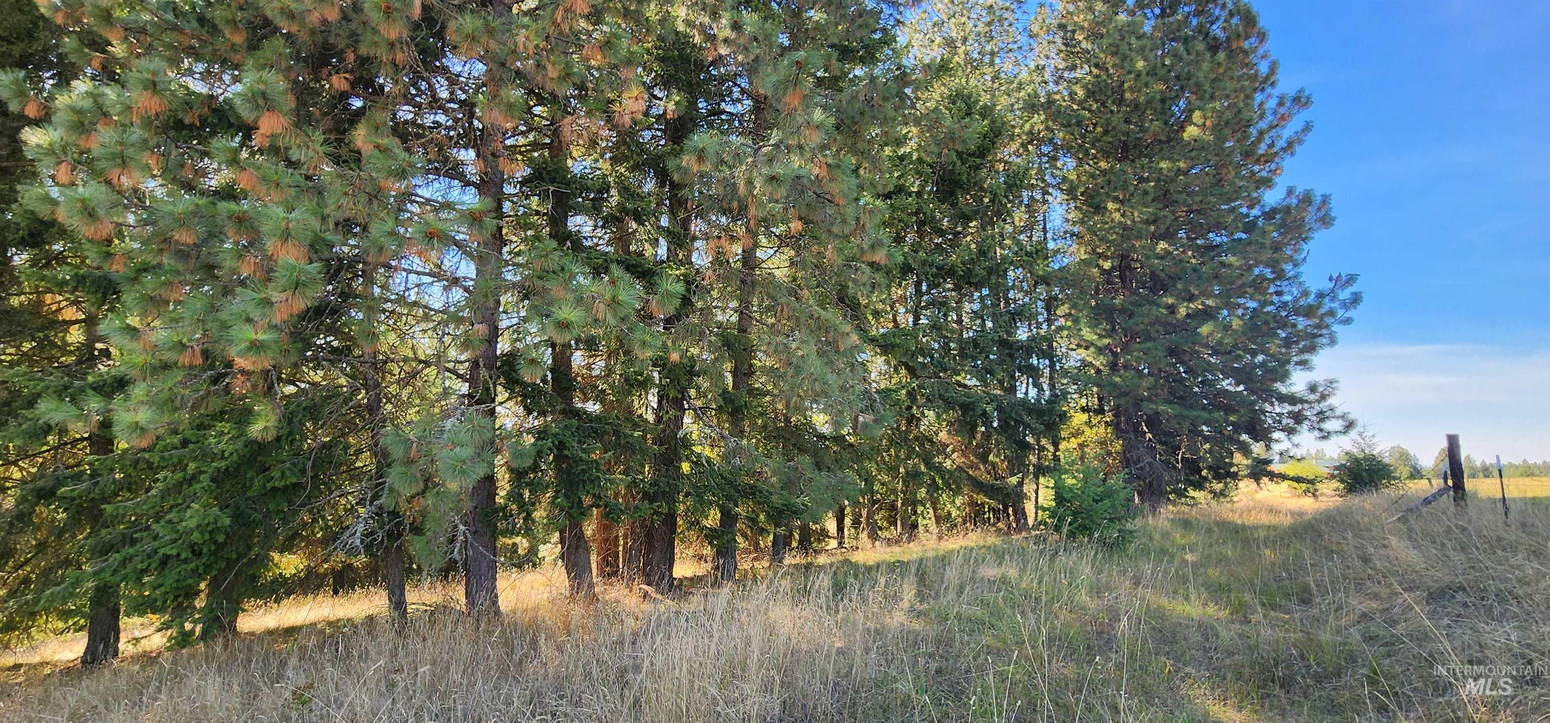 Tbd Red Fir Rd Property Photo 9