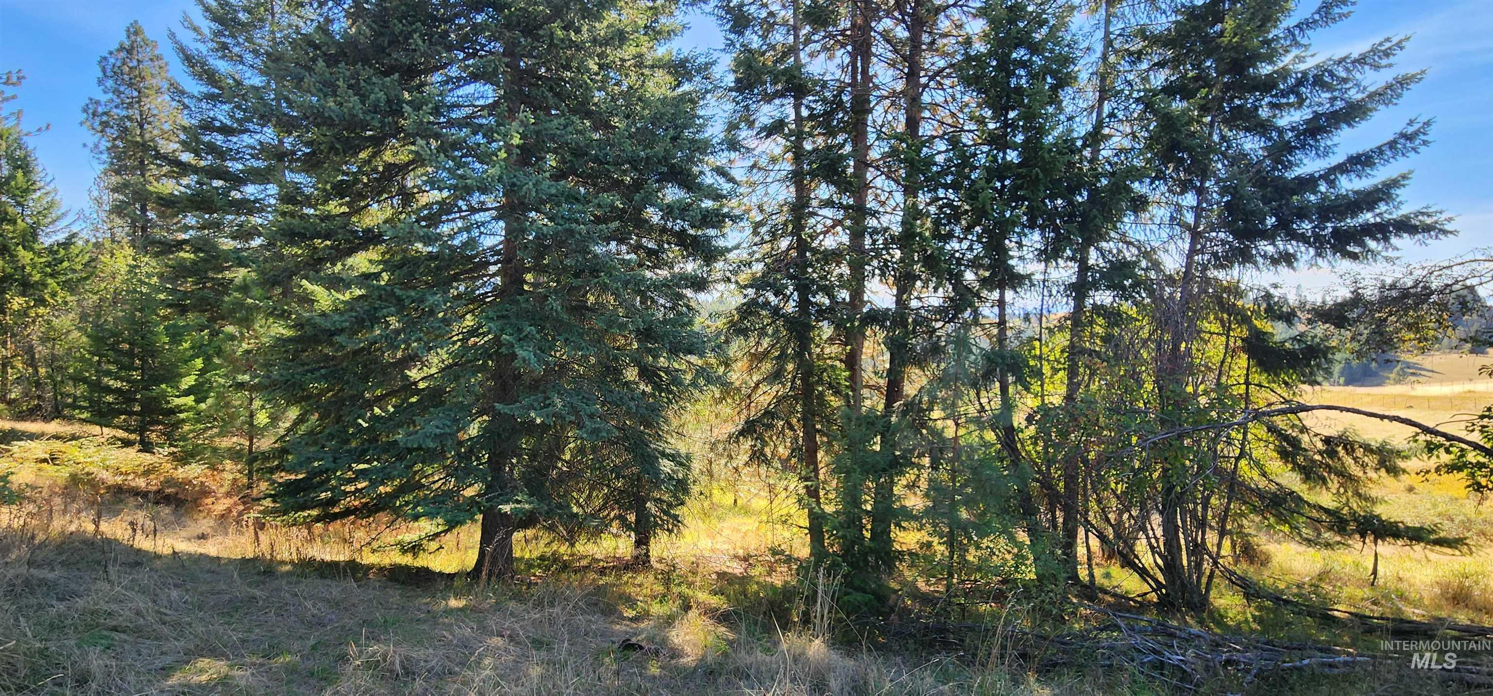 Tbd Red Fir Rd Property Photo 14