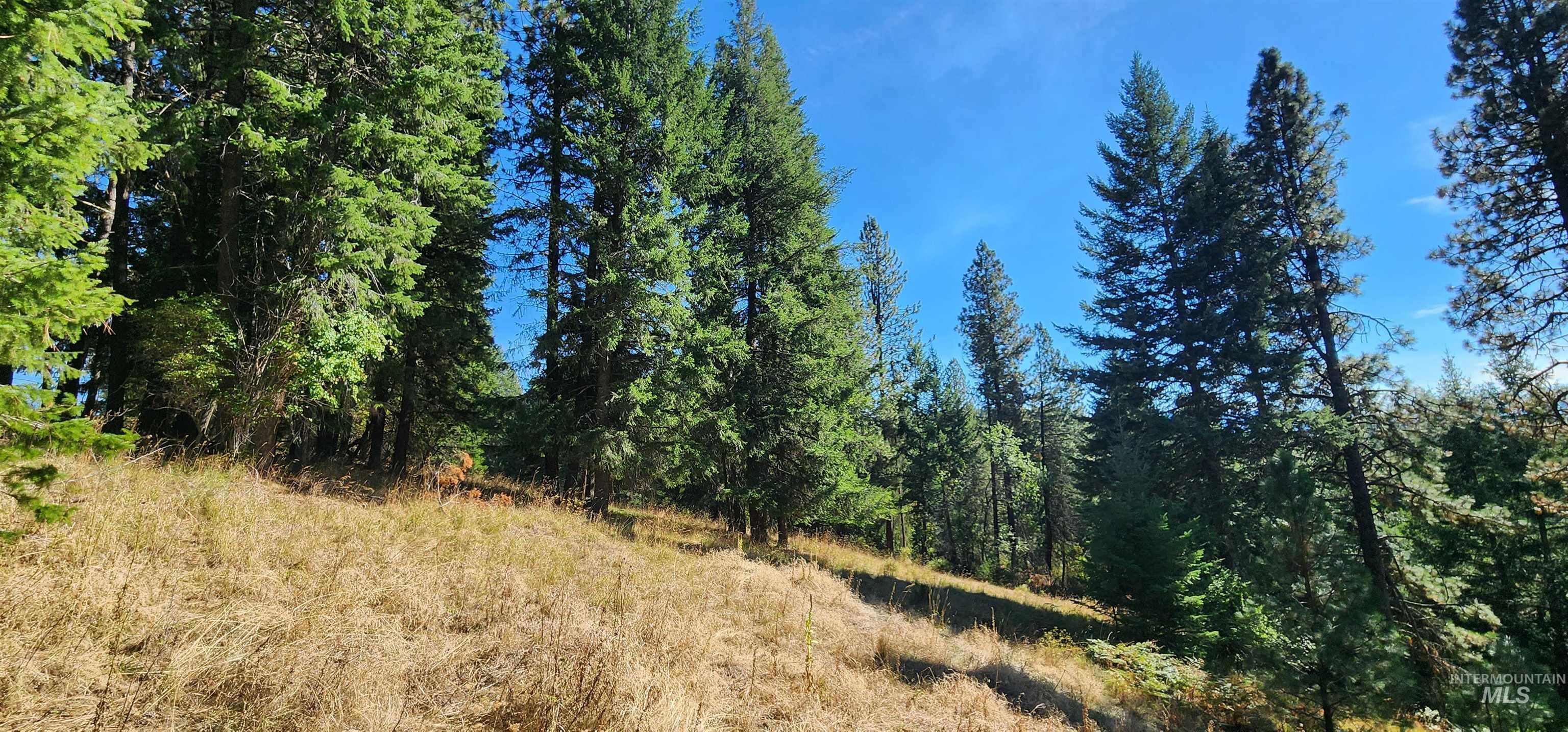 Tbd Red Fir Rd Property Photo 15