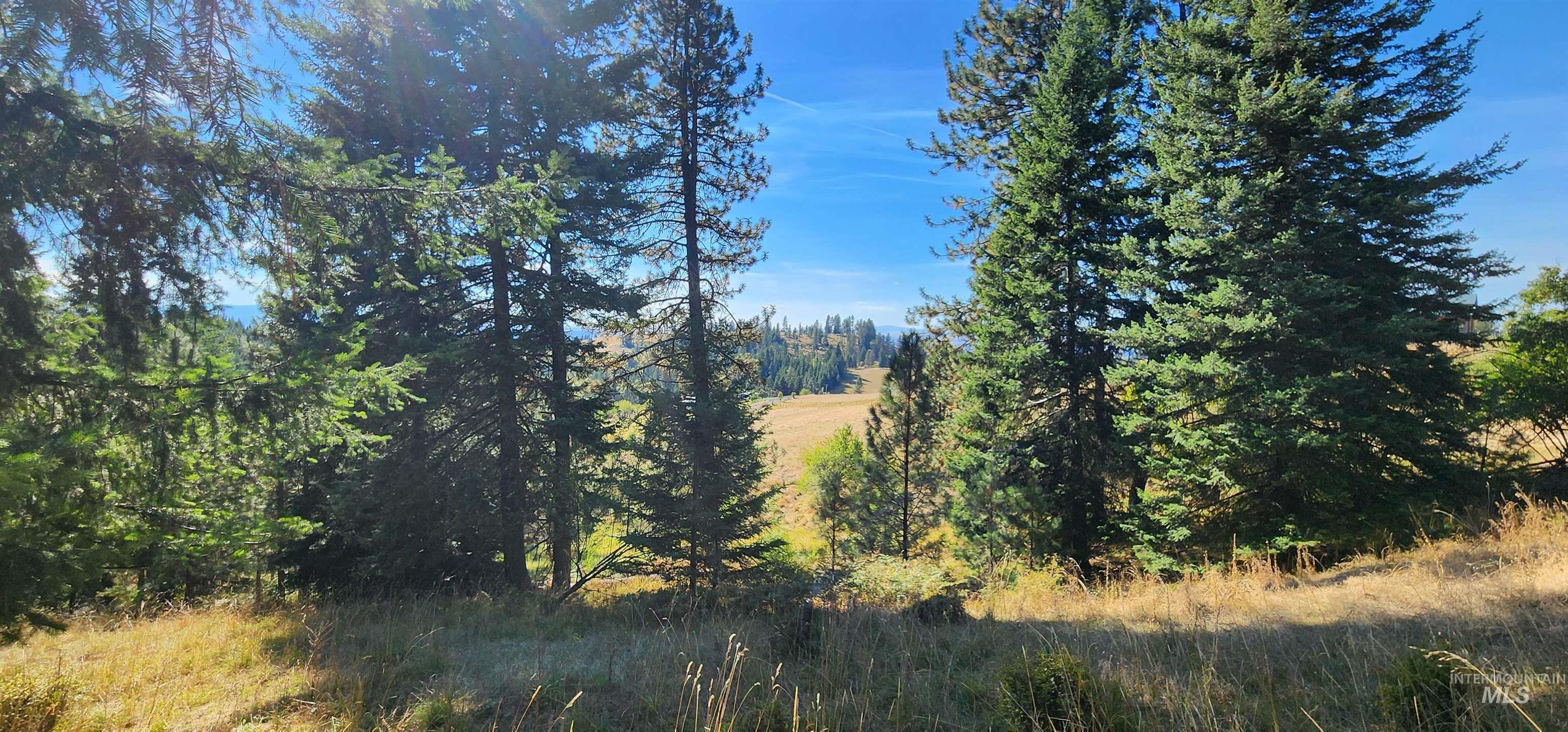 Tbd Red Fir Rd Property Photo 16