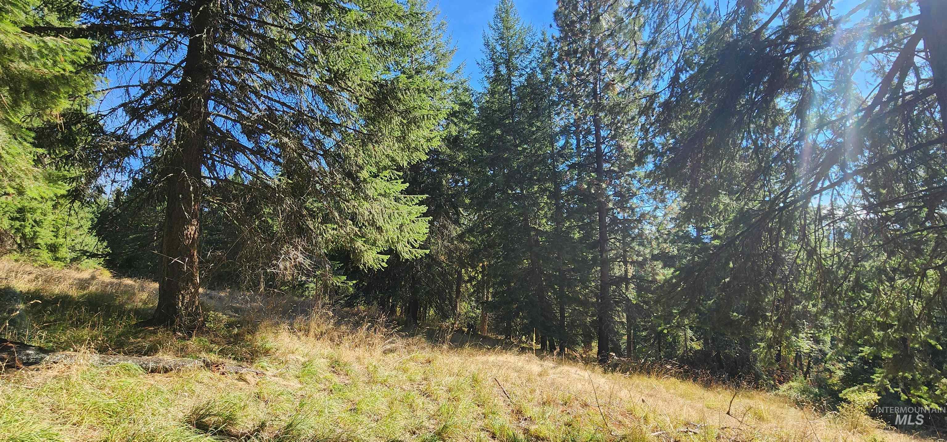 Tbd Red Fir Rd Property Photo 17