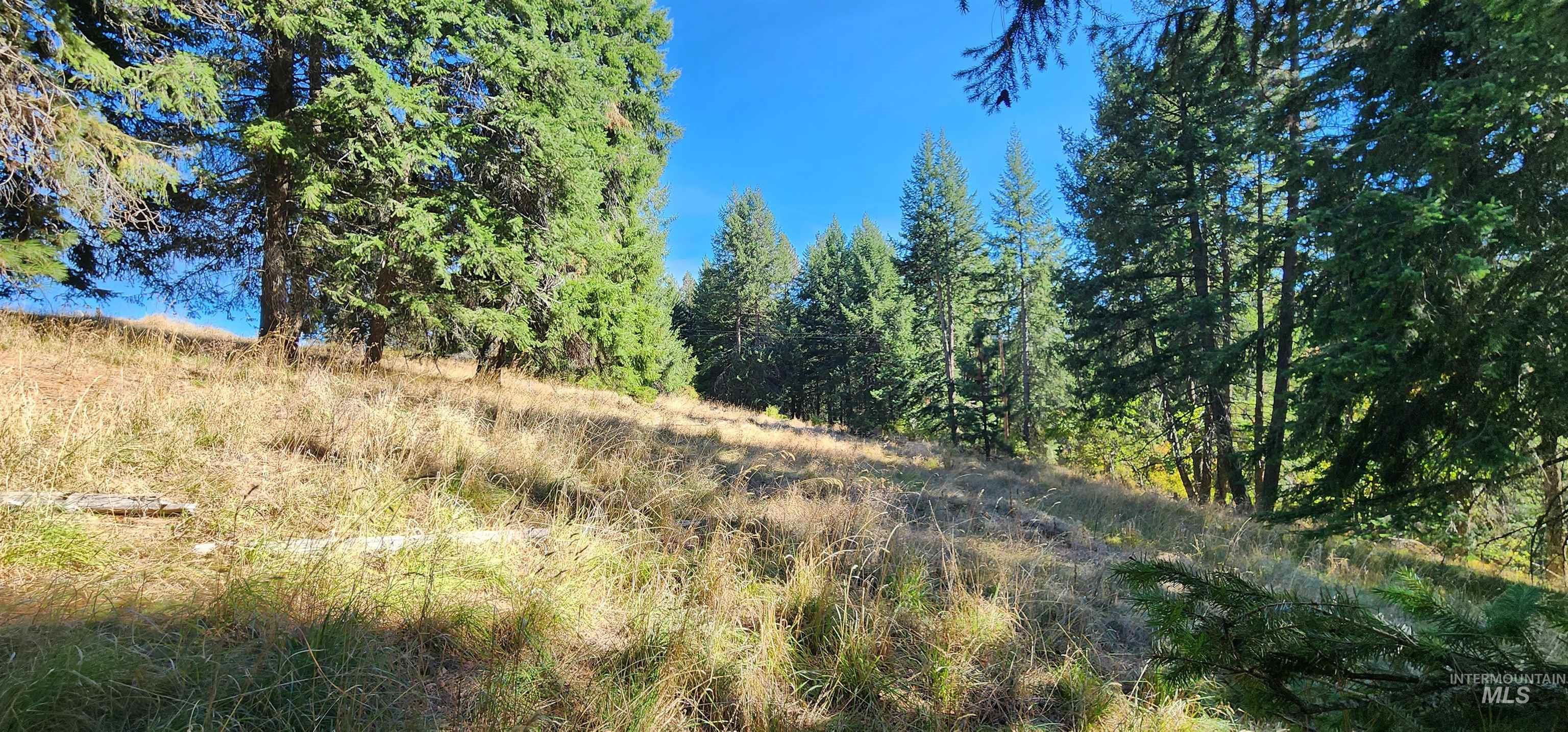Tbd Red Fir Rd Property Photo 18