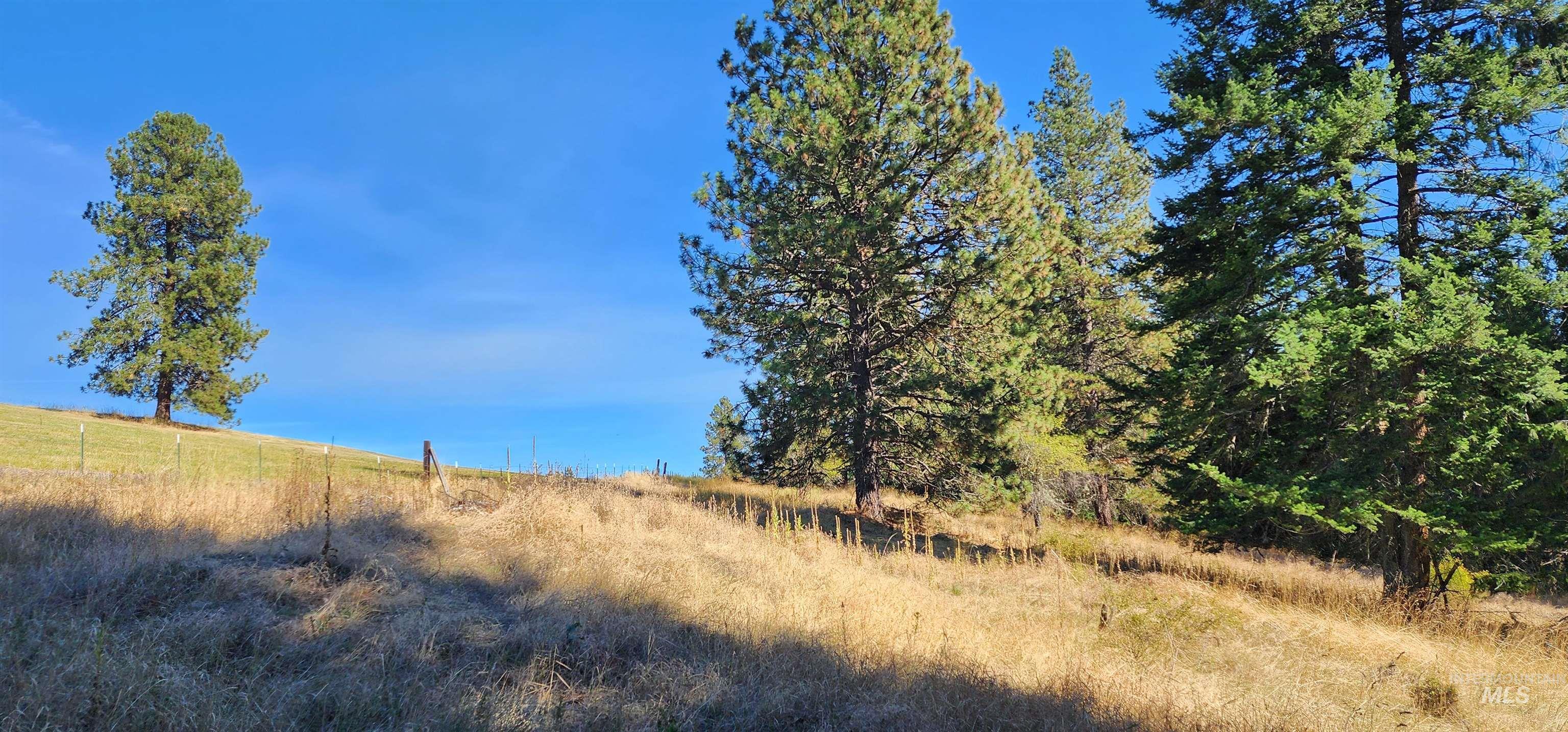 Tbd Red Fir Rd Property Photo 19