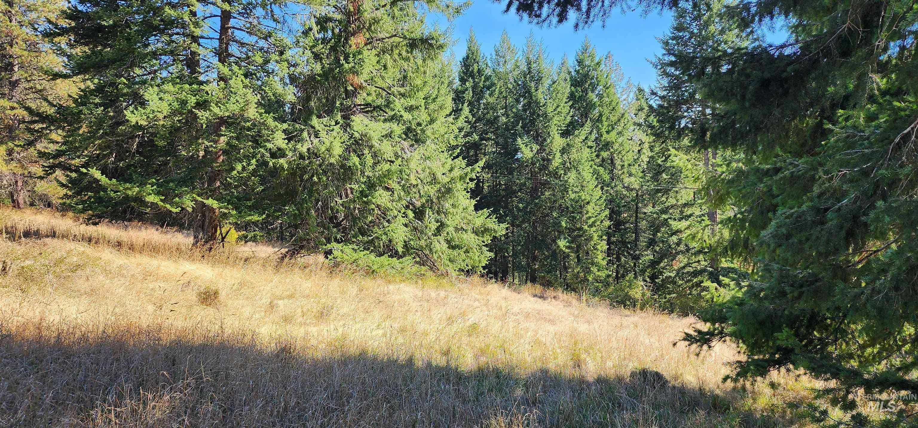 Tbd Red Fir Rd Property Photo 20