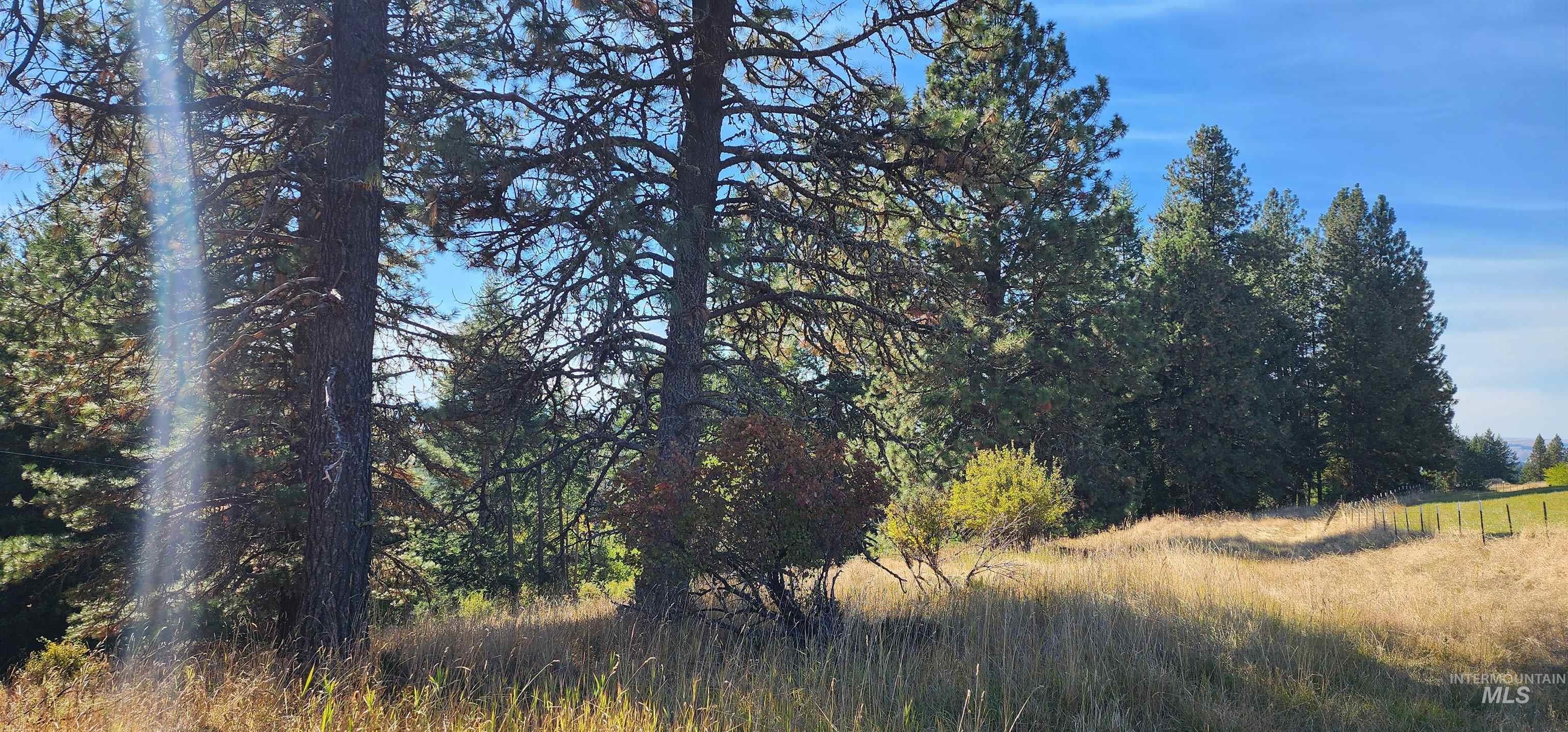 Tbd Red Fir Rd Property Photo 21
