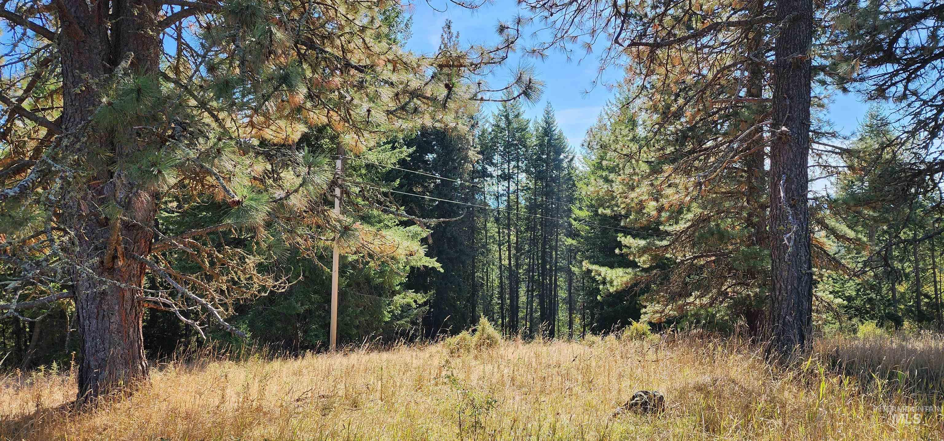 Tbd Red Fir Rd Property Photo 22