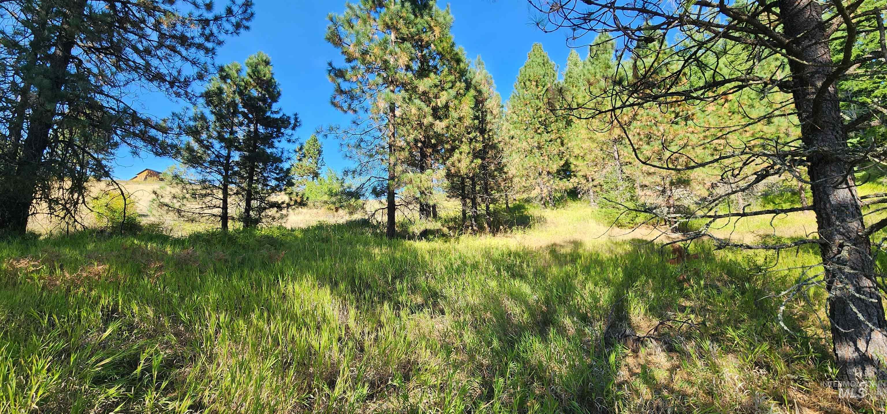 Tbd Red Fir Rd Property Photo 23