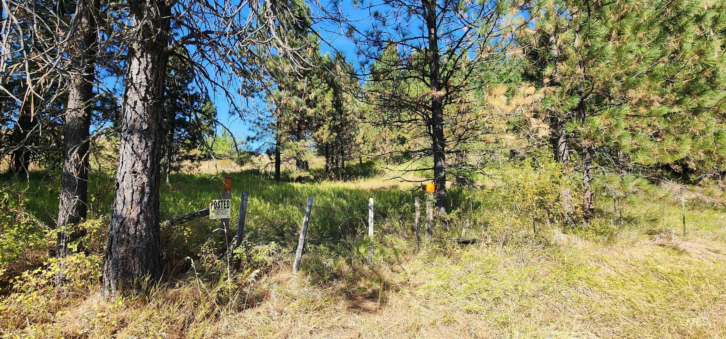 Tbd Red Fir Rd Property Photo 24