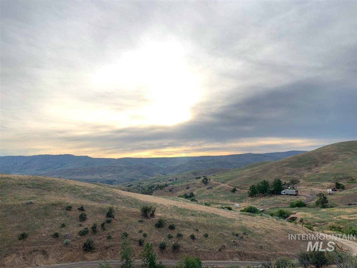 11000 Grassy Ridge Ln Property Photo 12