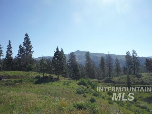 38 Deadman Gulch Rd Property Photo 17