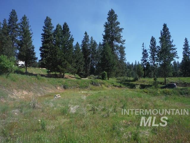 38 Deadman Gulch Rd Property Photo 18