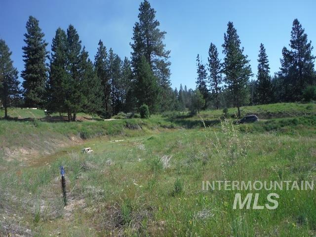 38 Deadman Gulch Rd Property Photo 19