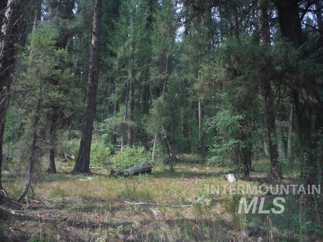 Tbd Beaver Creek Rd Lot 79 Property Photo 1