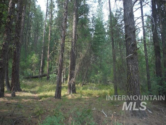 Tbd Beaver Creek Rd Lot 79 Property Photo 2
