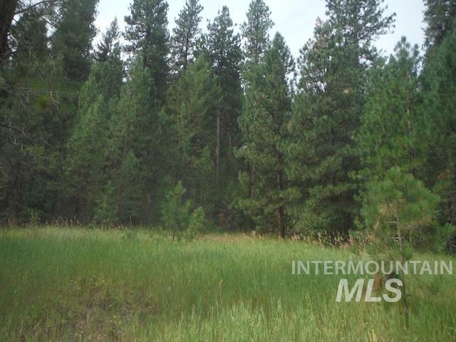 Tbd Beaver Creek Rd Lot 79 Property Photo 3